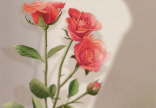 祝天下女神們節(jié)日快樂?。。? ></a>
                        <a href=